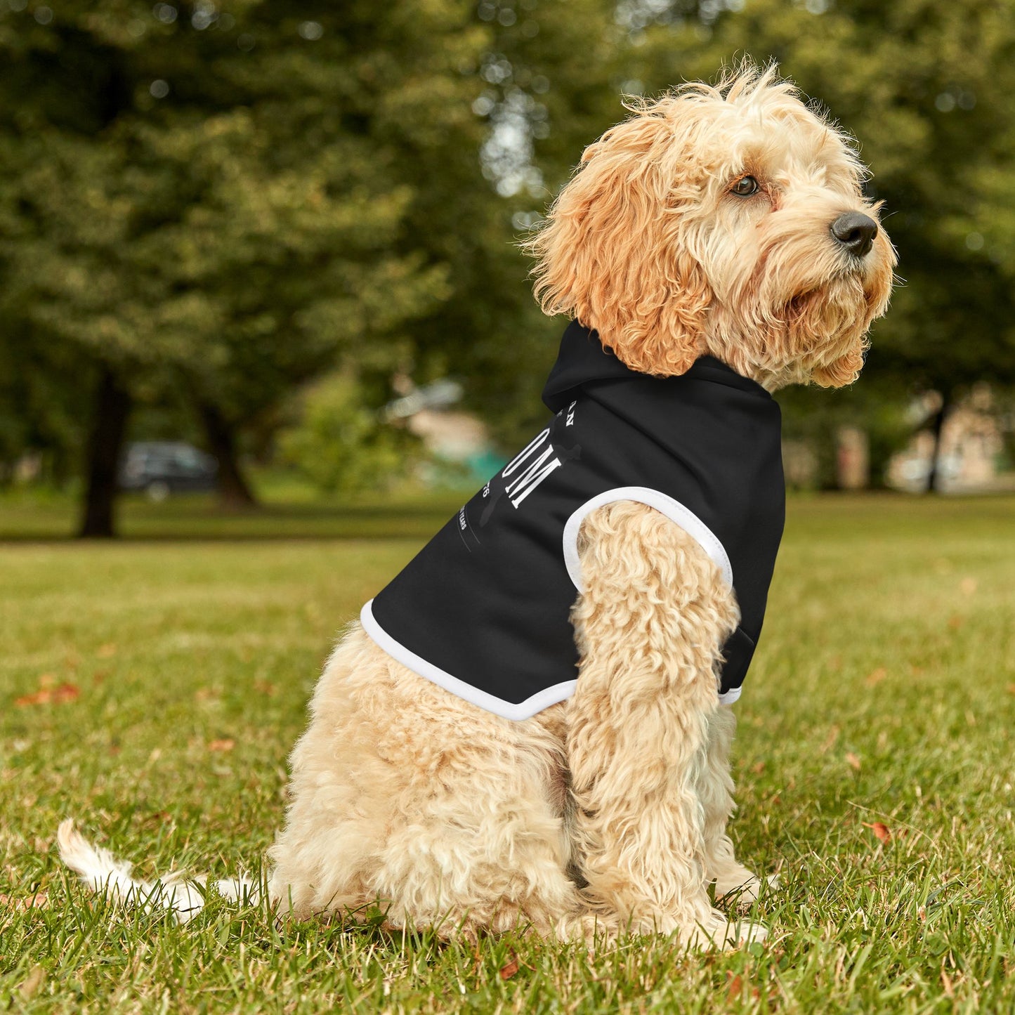 250 proof Pet Hoodie