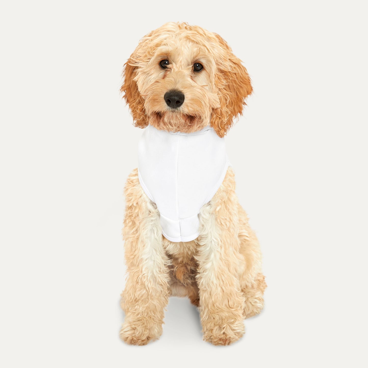 America is Good Pet Hoodie