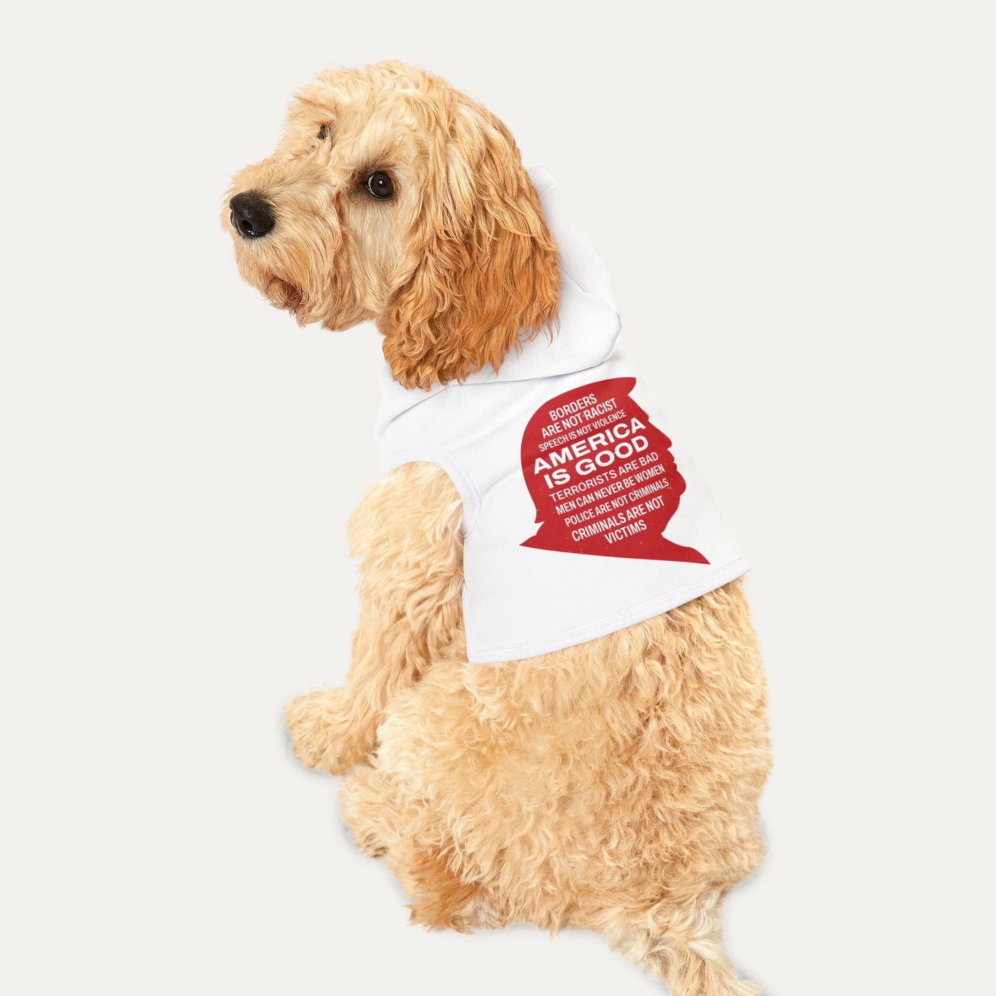America is Good Pet Hoodie