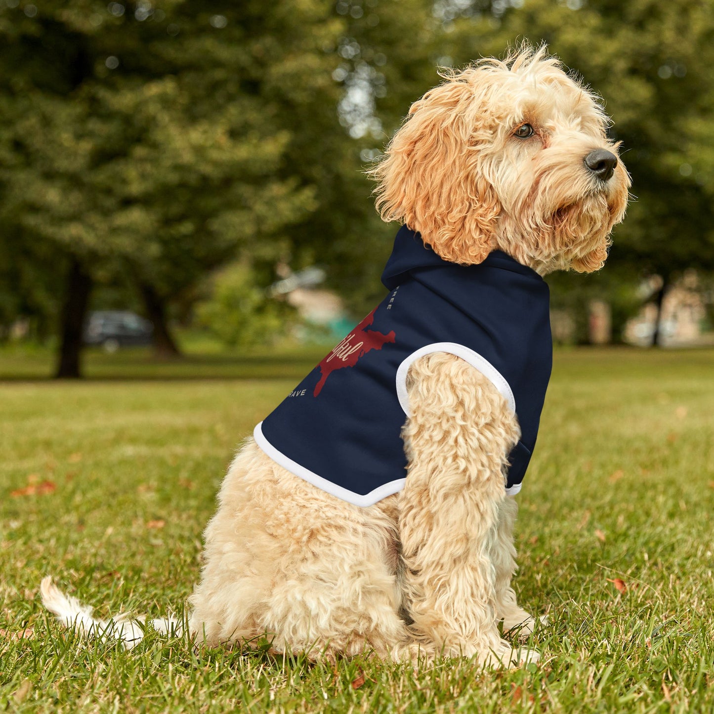 America the Beautiful Pet Hoodie