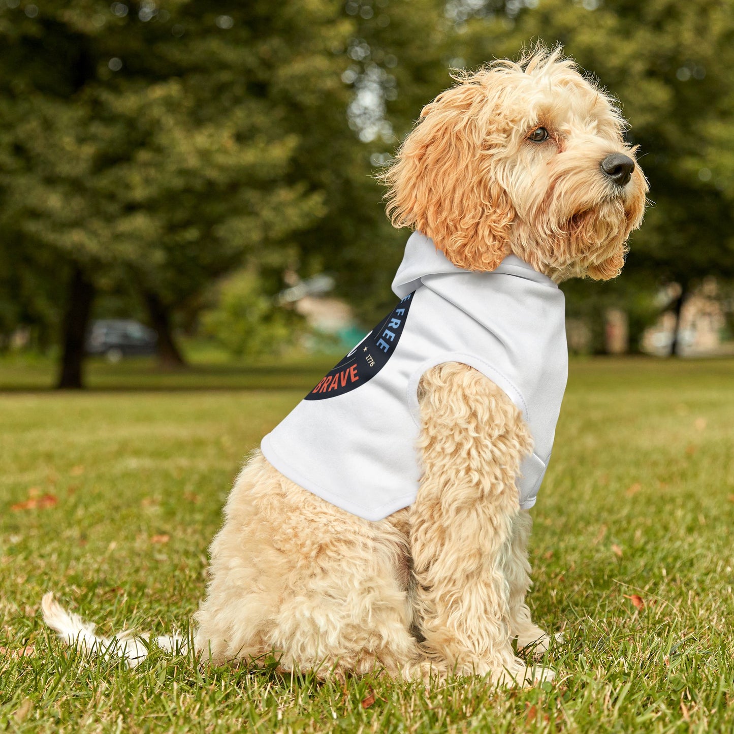 Vintage USA Pet Hoodie