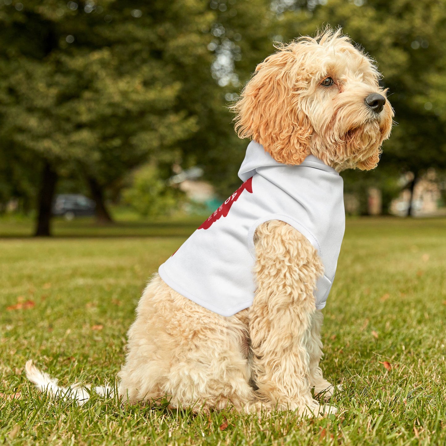 America is Good Pet Hoodie