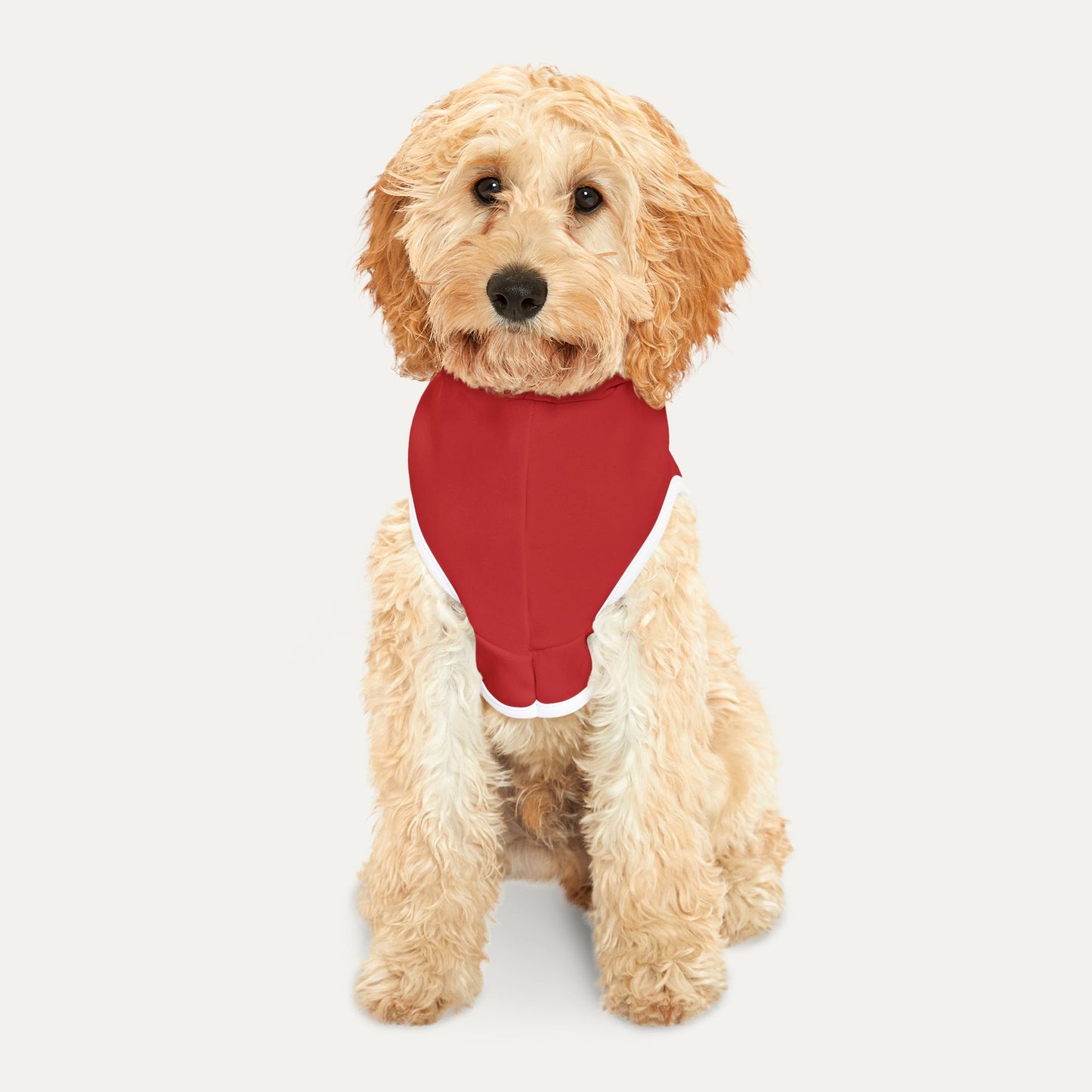 Orange Man Rad Pet Hoodie