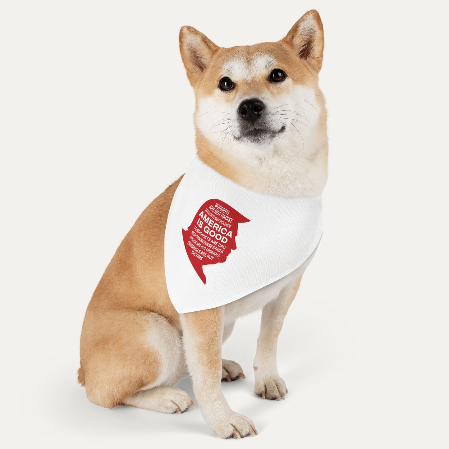 America is Good Pet Bandana Collar