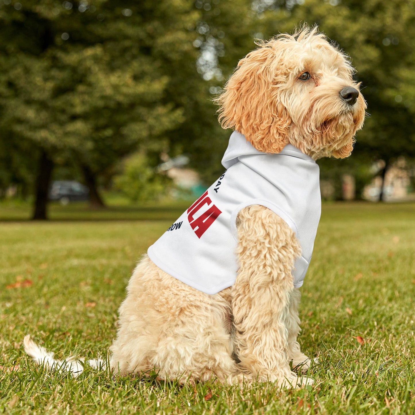 Armed Today, Free Tomorrow Pet Hoodie