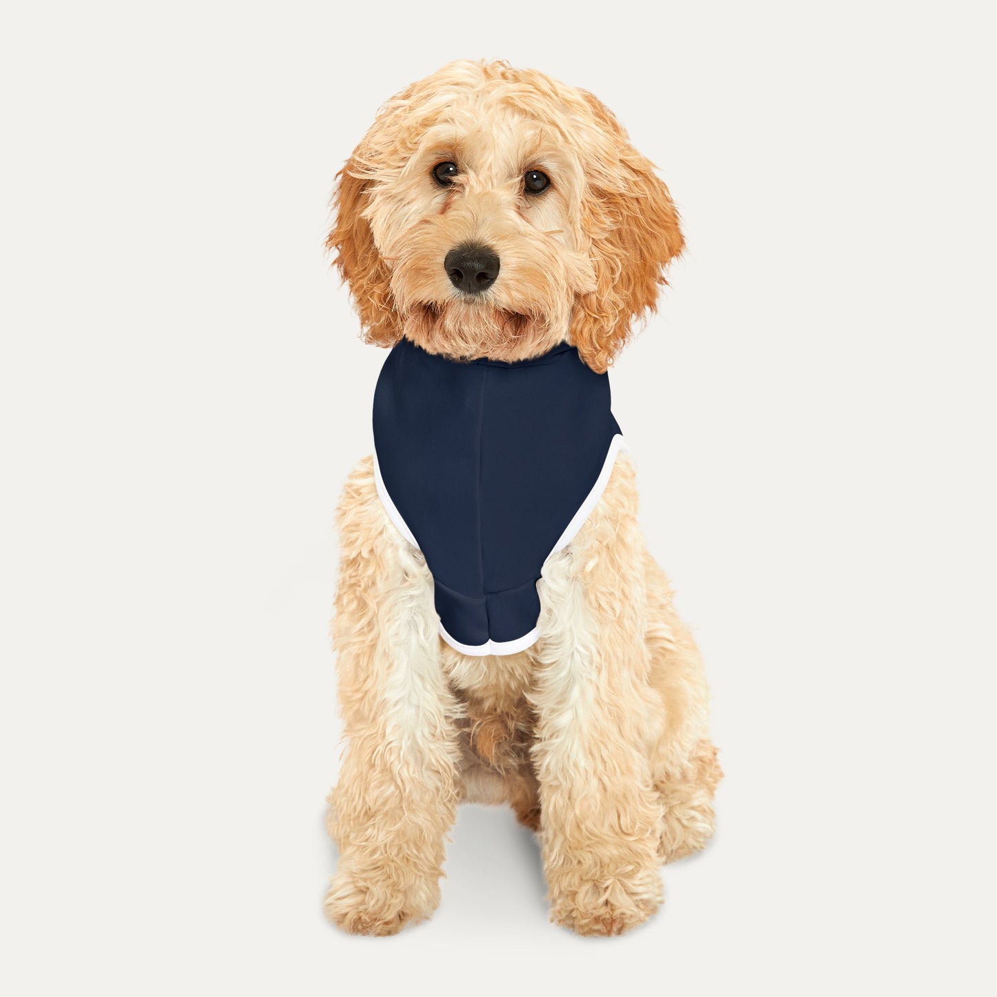 America the Beautiful Pet Hoodie