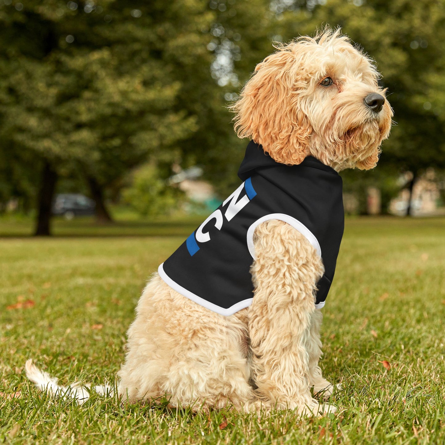 Run DNC Pet Hoodie