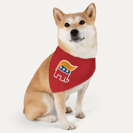 Orange Man Rad Pet Bandana Collar