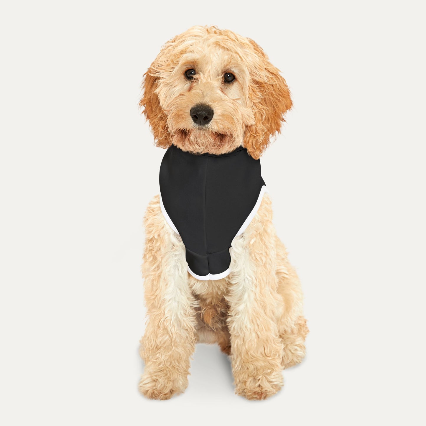 Run DNC Pet Hoodie
